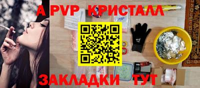 спиды Гай