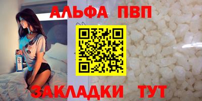 спиды Гай