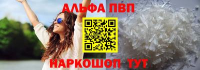 спиды Гай
