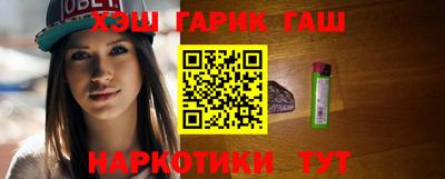 спиды Гай