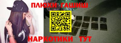 спиды Гай