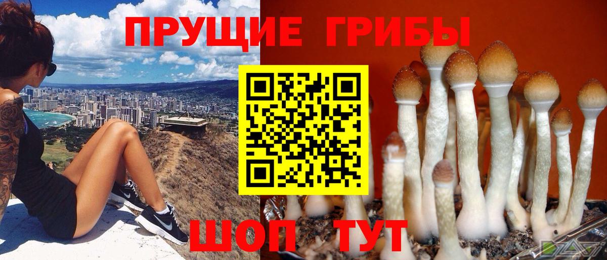 Галлюциногенные грибы мицелий  Вход с VPN  Чернушка 